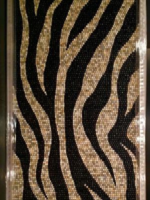 Zebra Stripes Zebra Stripes